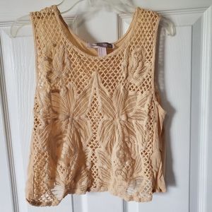 Sheer crop top